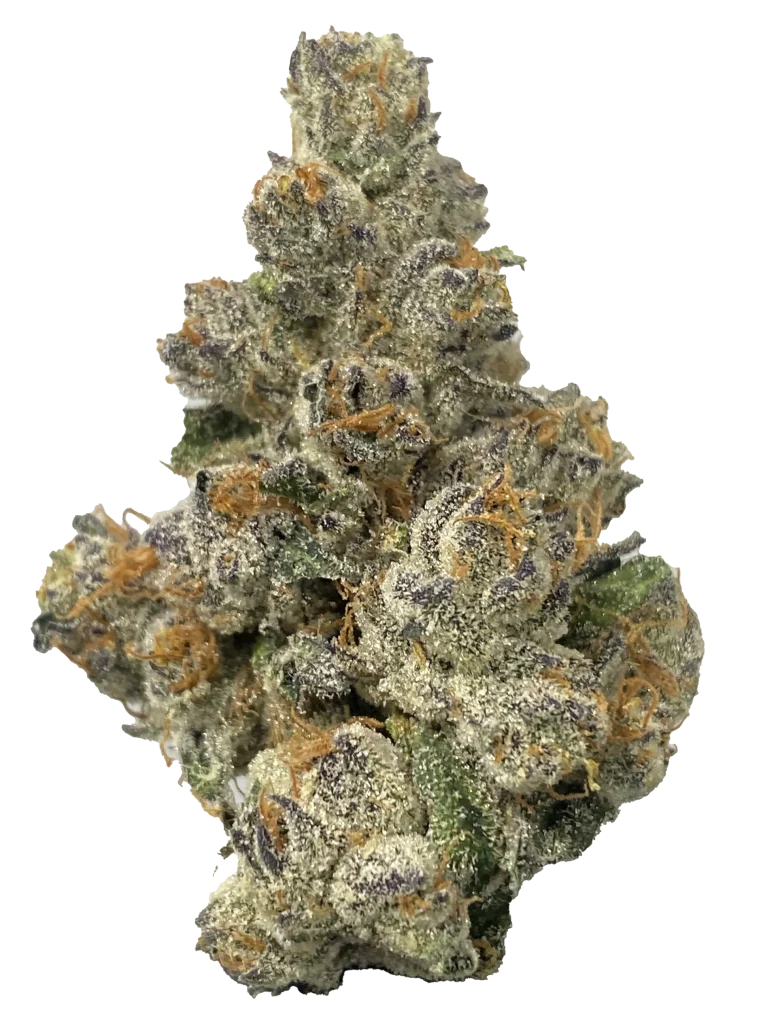 rainbow-pave