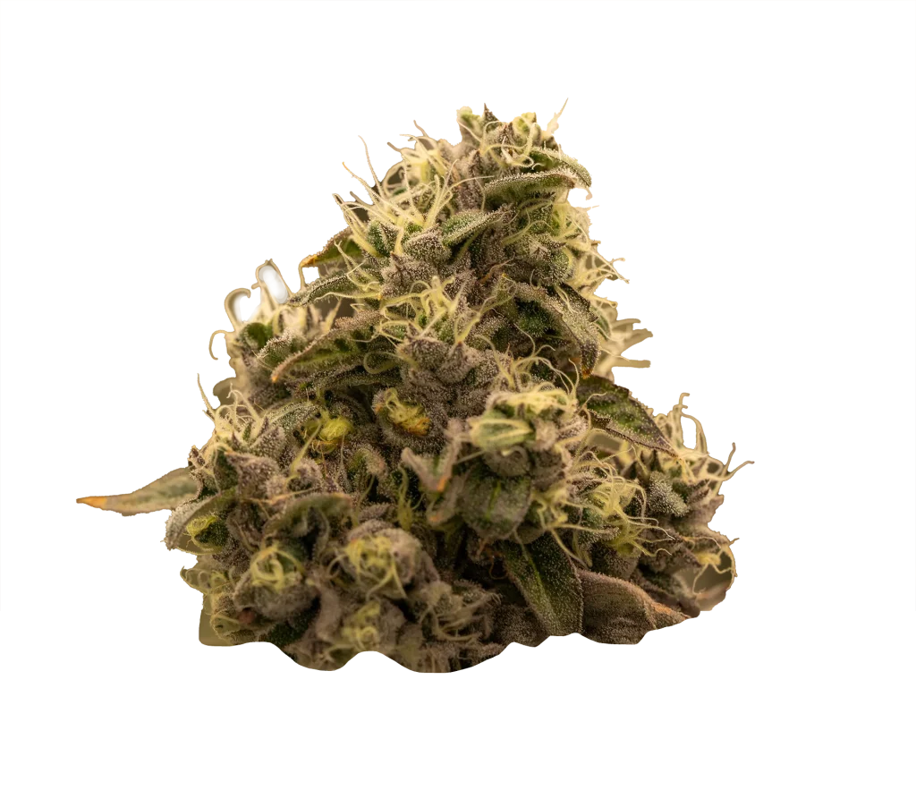 slurricane